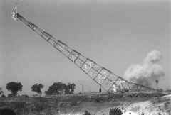 chollas-7260BBC4-D506-4EDD-B05C-1237775DBE80.JPG (176878 bytes)